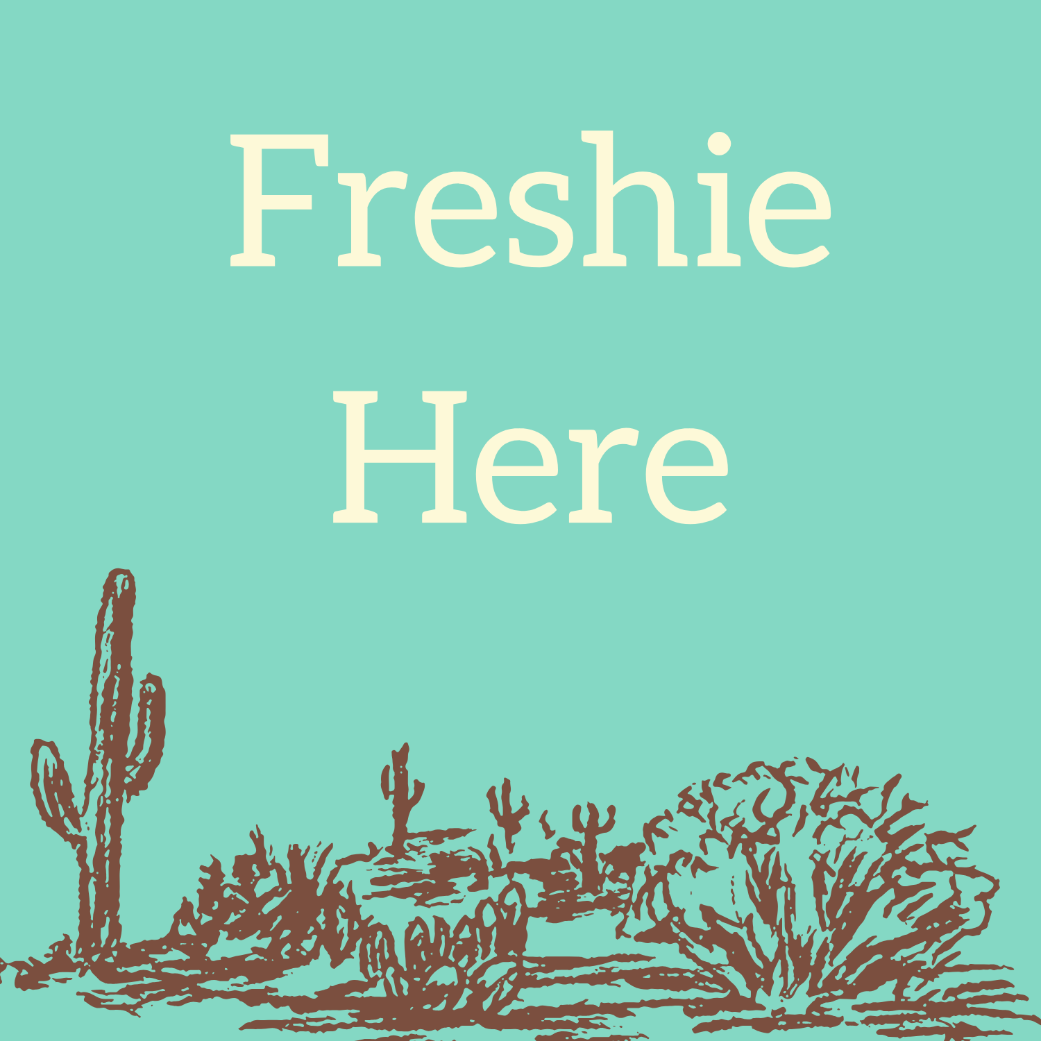Car Fresheners